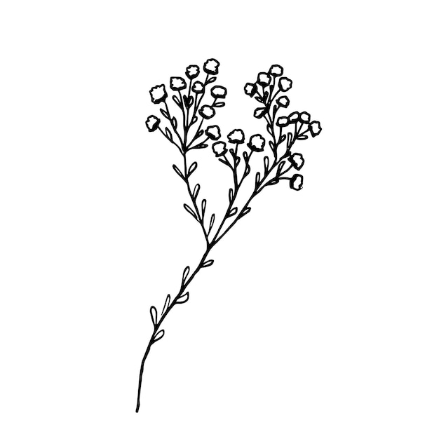 Vector hand drawn flower illustration doodle flower