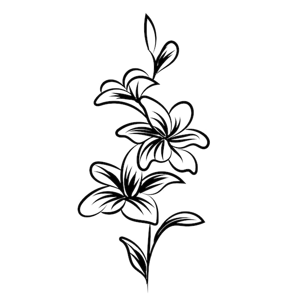 vector hand drawn flower silhouettes illustration