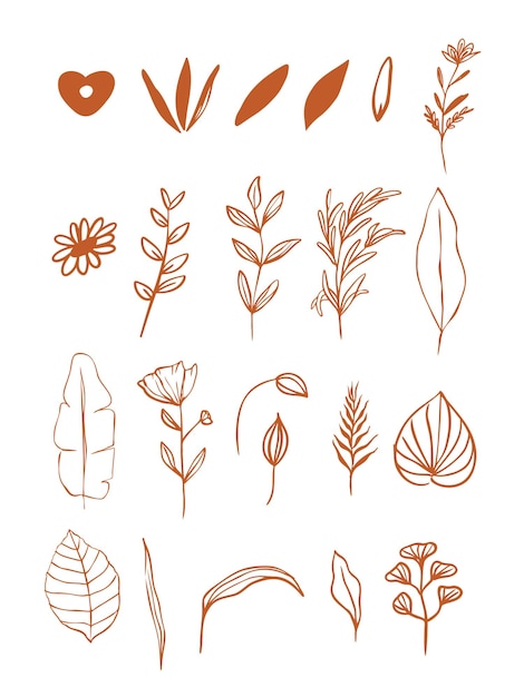 Vector vector hand drawn flowers and leaves