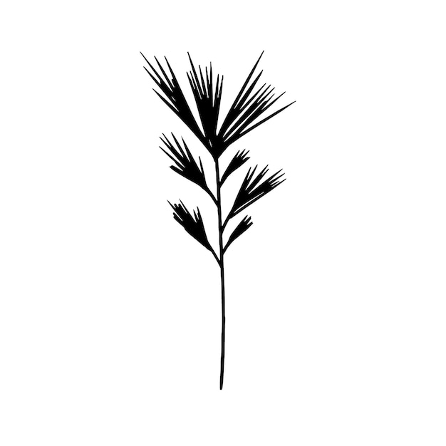 Vector vector hand drawn grass simple contour line art silhouette isolated on white background