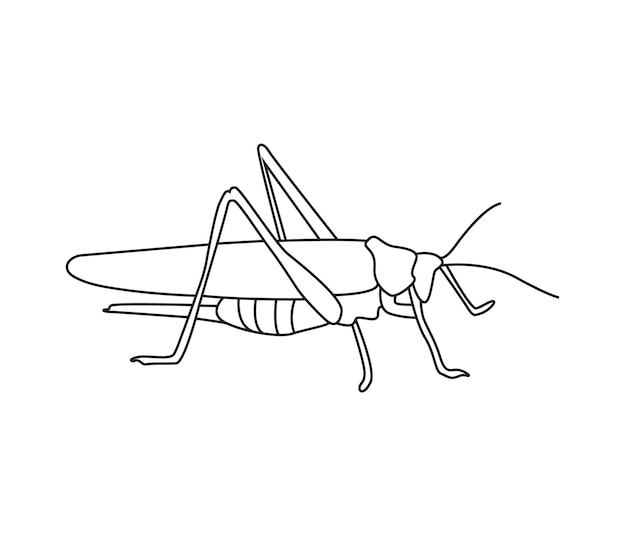 手描きのベクター 草<unk>の昆虫を一線で描いた