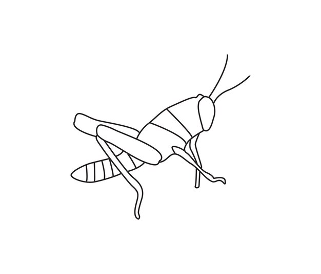 手描きのベクター 草<unk>の昆虫を一線で描いた