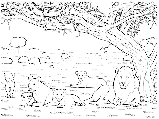 ベクトル ベクトル手描きの木の概要図の下に生息地ライオン