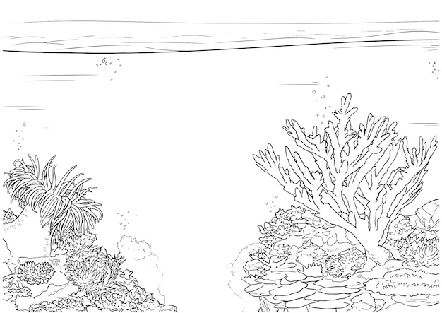 Vector hand drawn habitat ocean floor with corals outline illustration