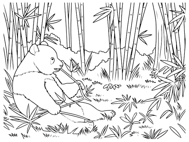 Vector hand drawn habitat panda eating bamboo outline illustration