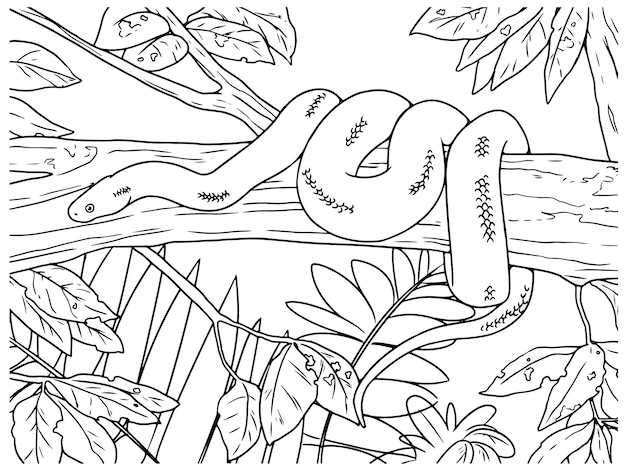 Векторная змея, нарисованная вручную в джунглях, наброски иллюстрации