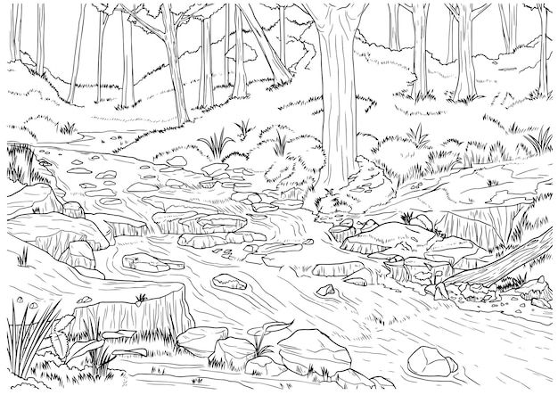 Vector hand drawn habitat stream in the middle of the forest outline illustration