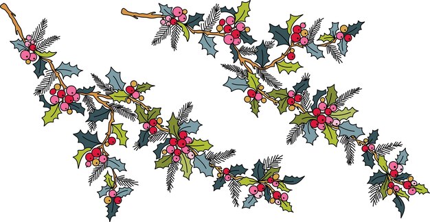 Vector vector hand drawn holly ilex branch with berry and leaves christmas new year holiday celebration