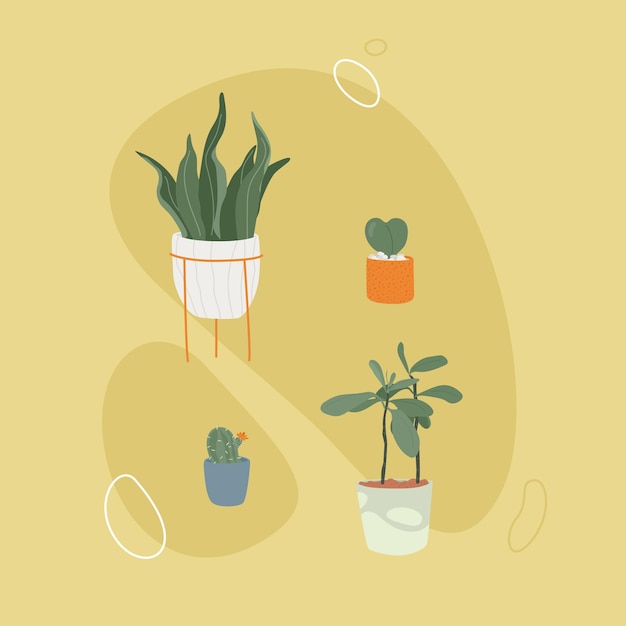 Vector hand drawn houseplant set illustration.