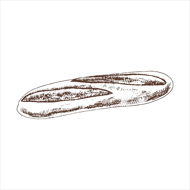 Illustrazione disegnata a mano di vettore della baguette isolata su priorità bassa bianca