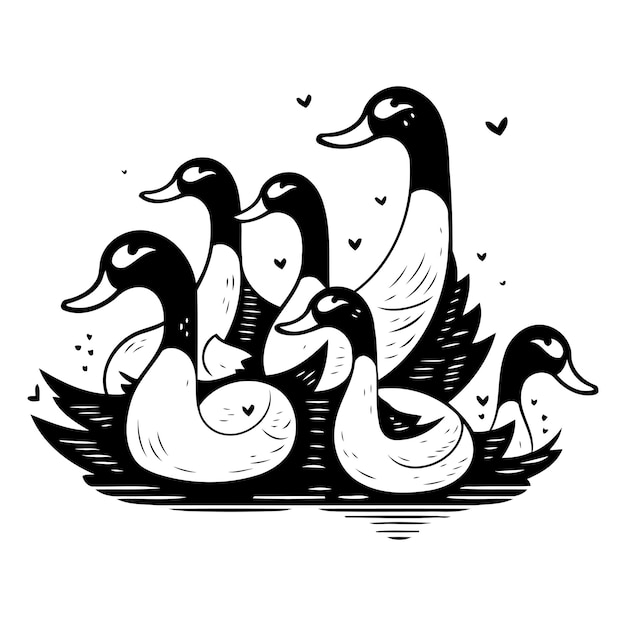 Vector hand drawn illustration of family of ducks in love Sketch for your design