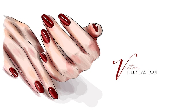 Illustrazione disegnata a mano di vettore di manicure e smalto sulle mani della donna