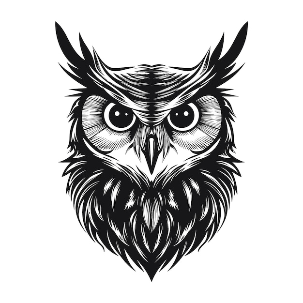 Vector hand drawn illustration of owl