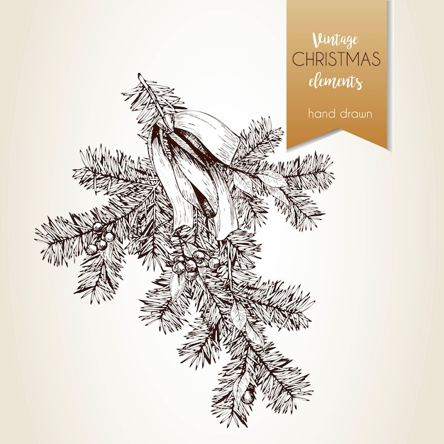 Vector hand drawn illustration of pine tree branch decorated with bow and holly berries.Christmas decoration.