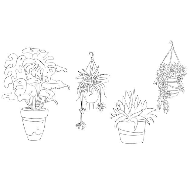 ベクトル手描きの観葉植物