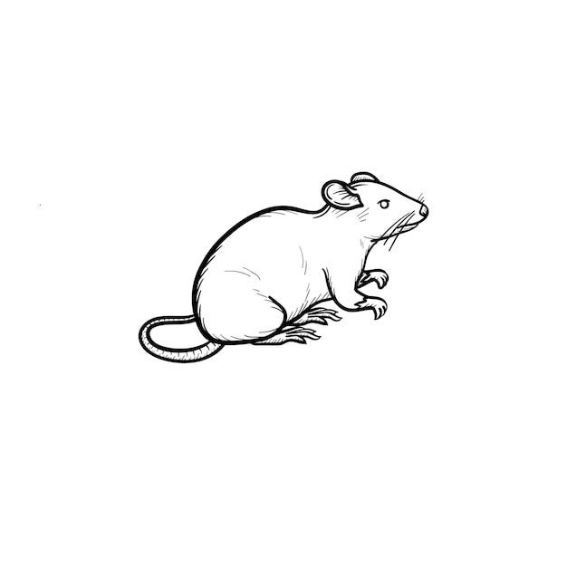 Вектор рисованной лабораторной крысы наброски каракули значок. Лабораторная крыса эскиз иллюстрации для печати, Интернета, мобильных устройств и инфографики, изолированные на белом фоне.