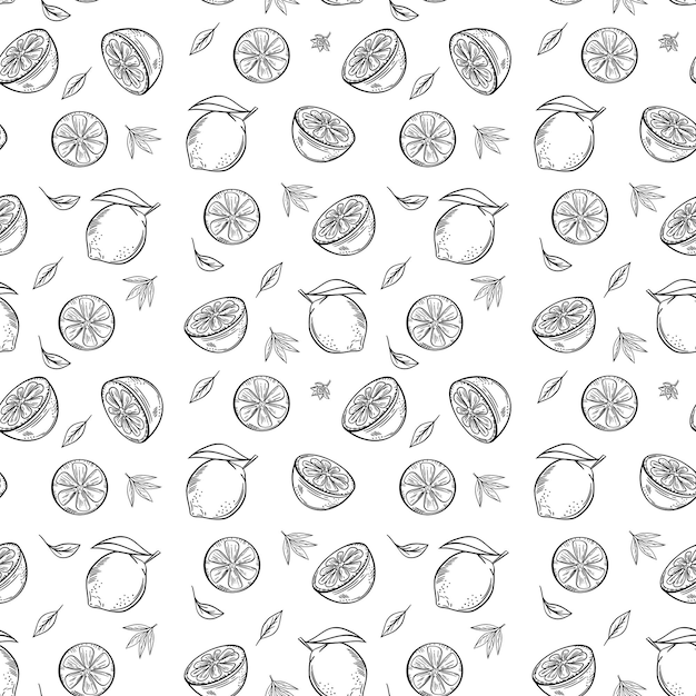 Vector hand drawn lime and lemon seamless pattern Tropical summer citrus fruit engraved style