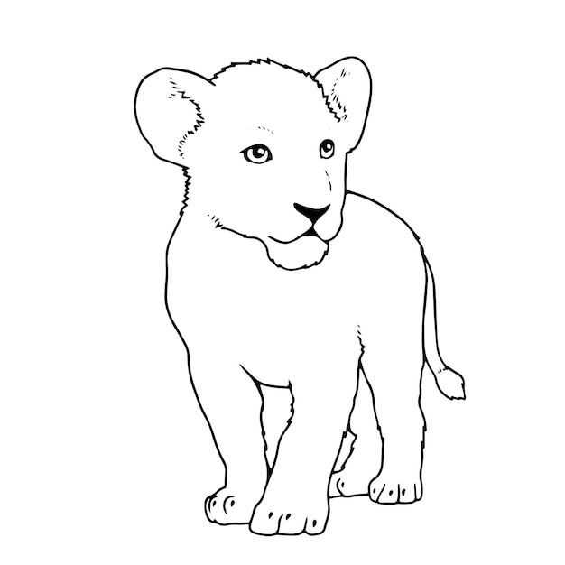 Vector hand drawn lion cub outline illustration