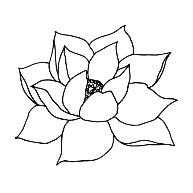 Vector hand drawn lotus flower black line art illustration Outline floral drawing for for logo tattoo packaging design compositions Water Lily botanical vector design