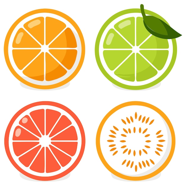 Vector vector hand drawn mixed citrus fruit set