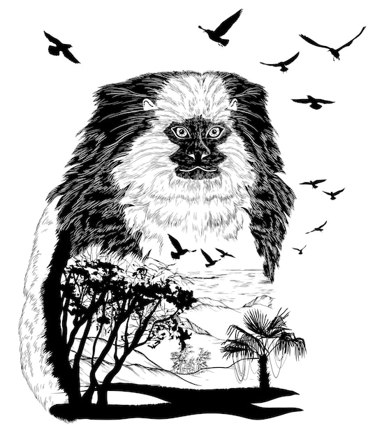 Vector hand drawn monkey marmoset for your design