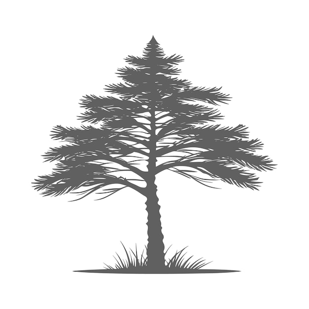 Vector vector hand drawn pine tree