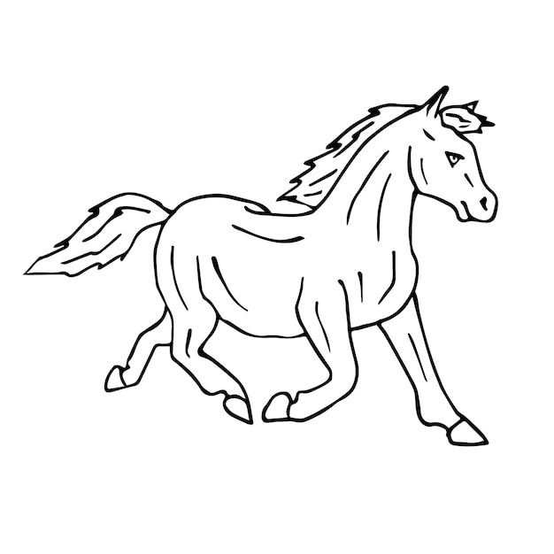 Cavallo pony disegnato a mano di vettore