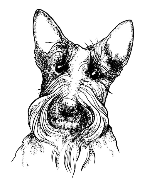 Векторный ручной портрет шотландского терьера скотти собачий силуэт чернильная линия