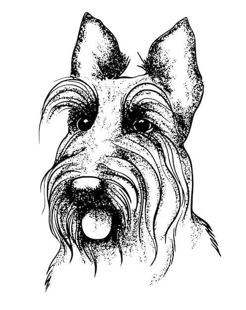 Ritratto disegnato a mano vettoriale di scottish terrier scotties doggy silhouette ink line art