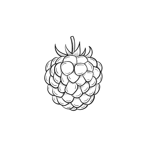 Vector hand drawn raspberry outline doodle icon. raspberry sketch illustration for print, web, mobile and infographics isolated on white background.