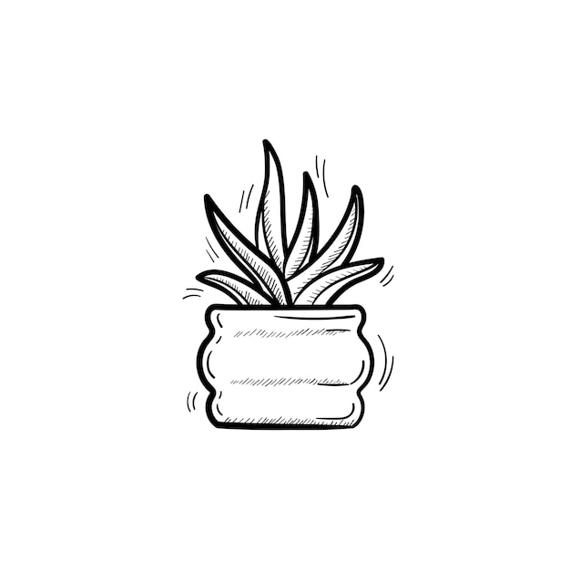 Icona di doodle di contorno di sansevieria trifasciata disegnata a mano di vettore. illustrazione decorativa di schizzo della pianta della casa in vaso per stampa, web, mobile e infografica isolato su priorità bassa bianca.