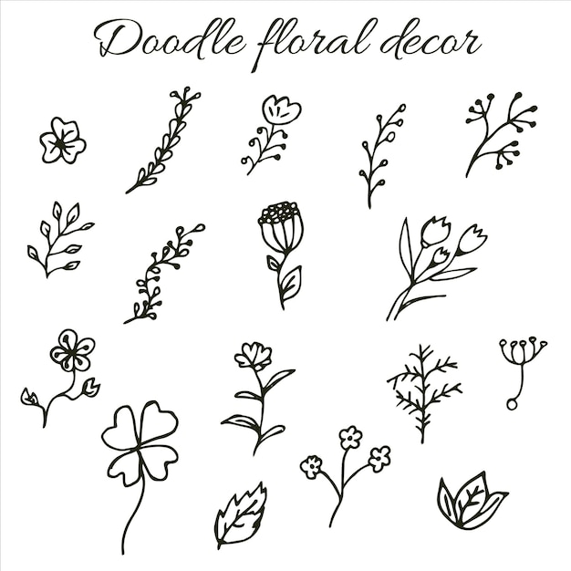 Vector hand drawn set of calligraphic floral design elements Doodle collection