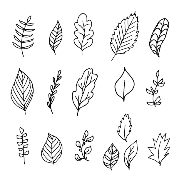 葉のベクトル手描きセット