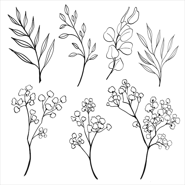 Vector hand drawn set of various silhouette branches with leaves and gypsophila branch on the white