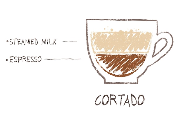vector hand drawn sketch of cortado coffee recipe