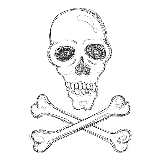 Vector hand drawn sketch skull and crossbones