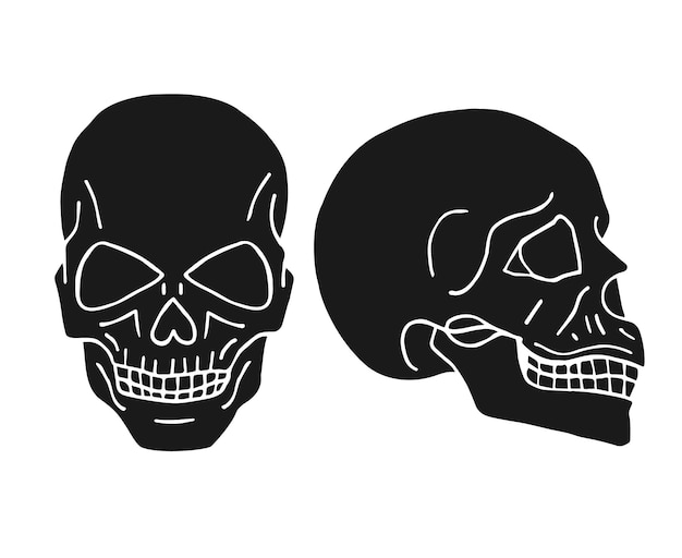 Vector hand drawn skull