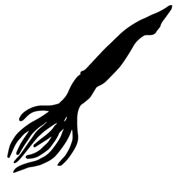 Vector hand drawn squid silhouette