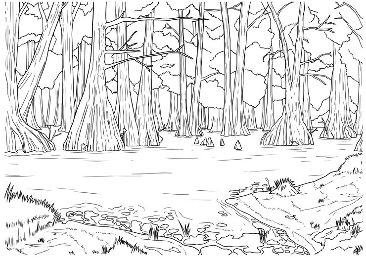 Vector vector hand drawn tree dwellers in swamp outline illustration