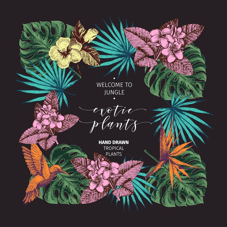 Vector vector hand drawn tropical plants poster