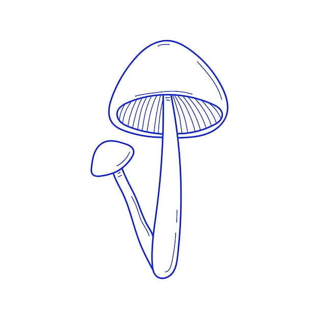 Vector hand drawn two mushrooms sketch isolated on white background Amanita muscaria fly agaric illustration