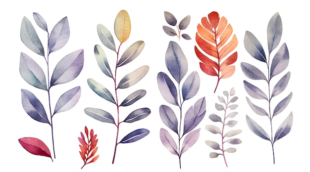 vector hand drawn watercolour floral leaves illustration clipart