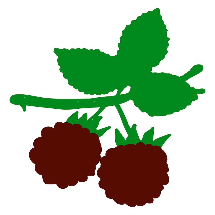Vector a vector of a hand drown berry fruited design