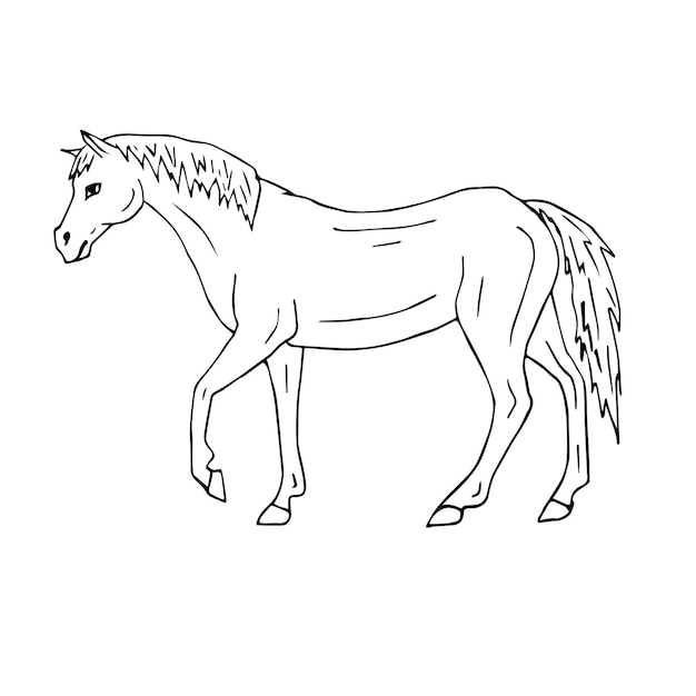 Vector vector hand getekend paard