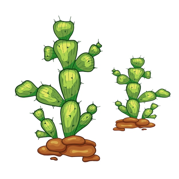 Vector hand getekende cactus geïsoleerd op wit Flay cartoon stijl illustratie Mexicaanse cactus woestijn stekelige plant mexico cactussen bloem en tropische huis planten