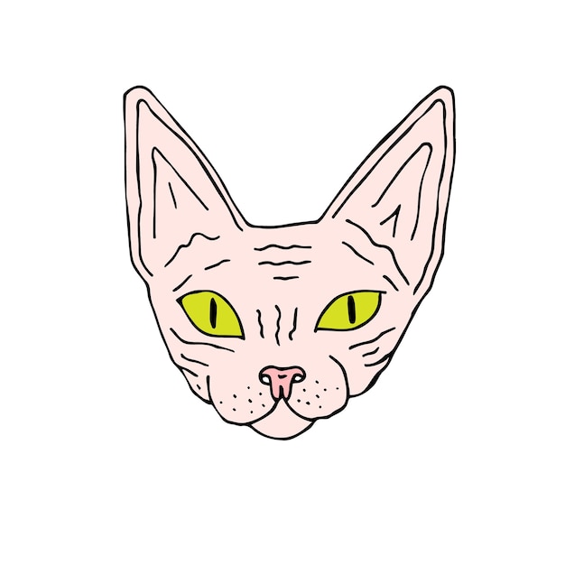 Vector hand getrokken doodle gekleurde Sphynx kat gezicht