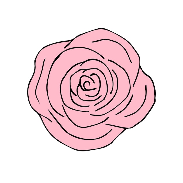 Vector hand getrokken doodle schets kleur roze bloem
