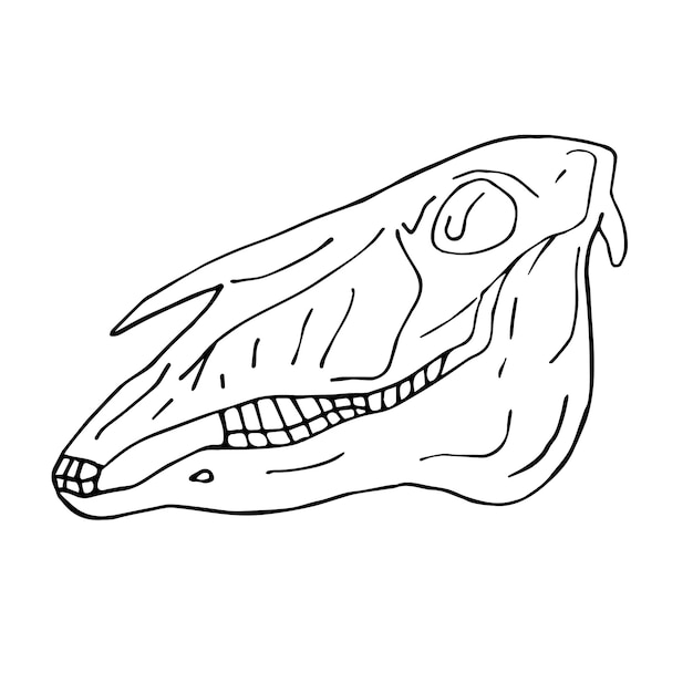 Vector hand getrokken doodle schets paard schedel