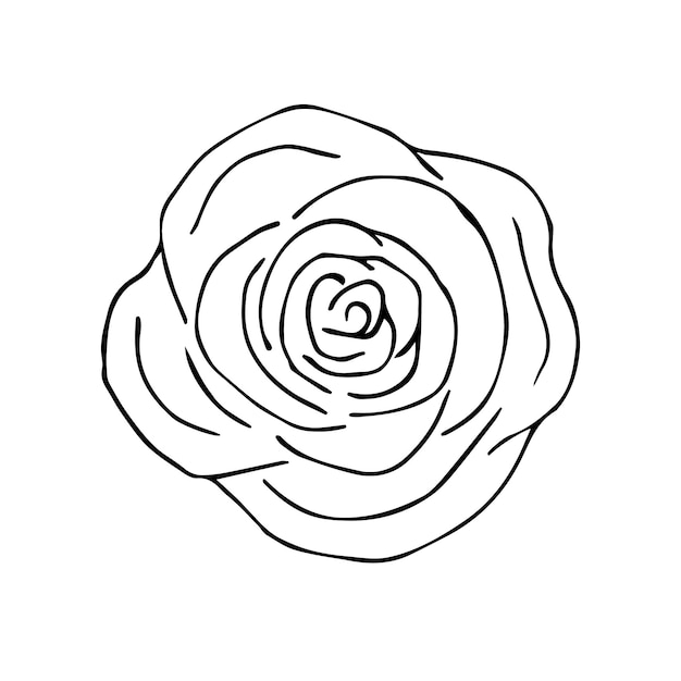 Vector hand getrokken doodle schets roze bloem
