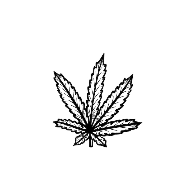 Vector hand getrokken marihuana blad schets doodle pictogram. Marihuana blad schets illustratie voor print, web, mobiel en infographics geïsoleerd op een witte achtergrond.